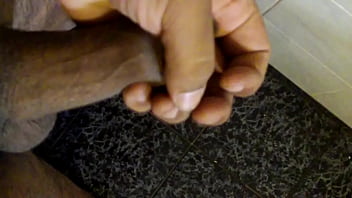 Donkey penis