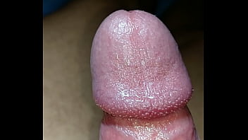 The world’s biggest penis